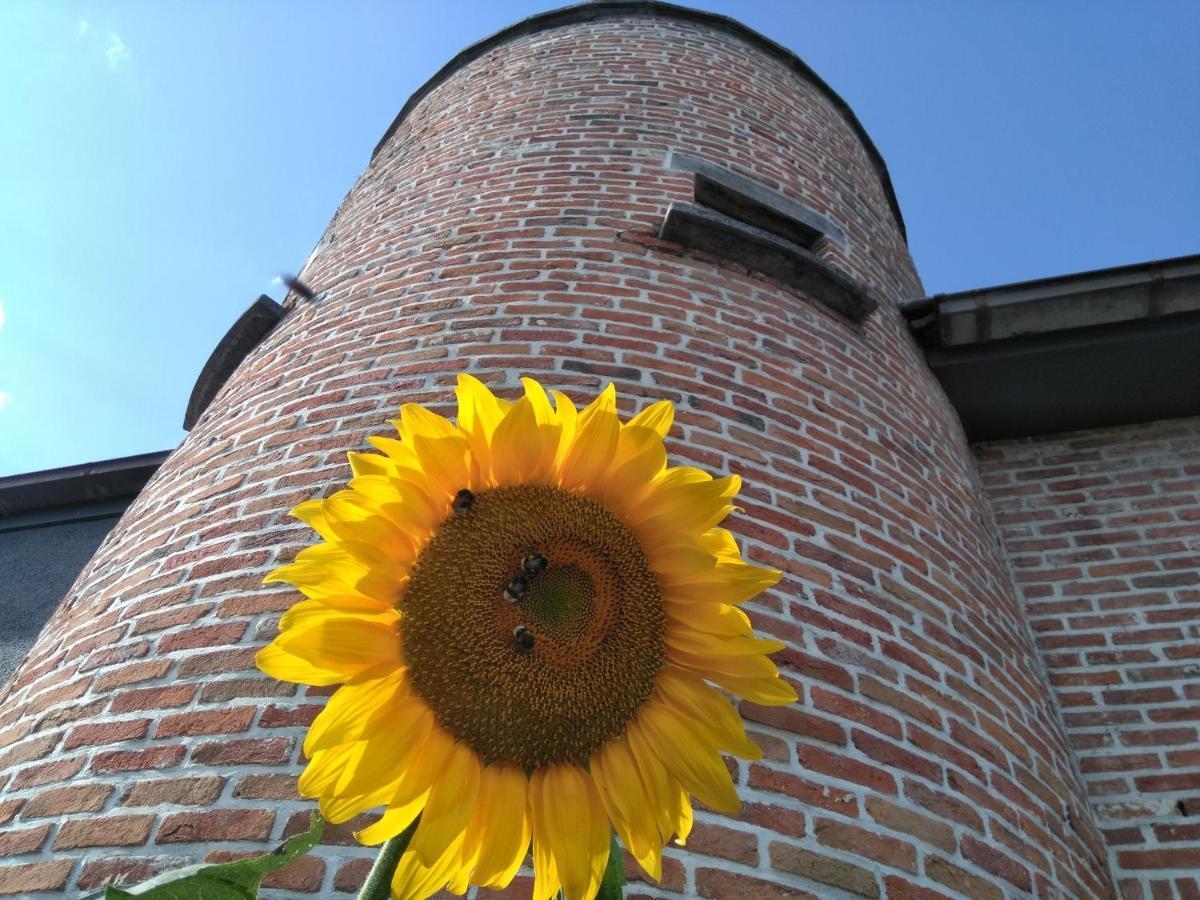 B&B Tlekkerbeddeke Rumst Exteriér fotografie
